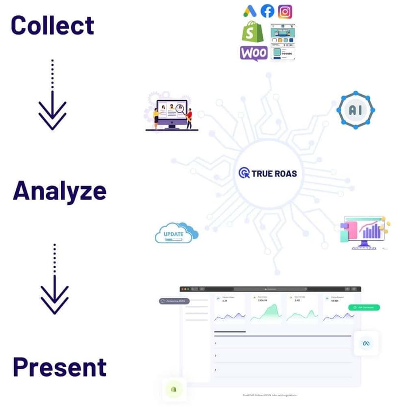 why true roas solution image